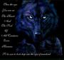 lonewolf5114